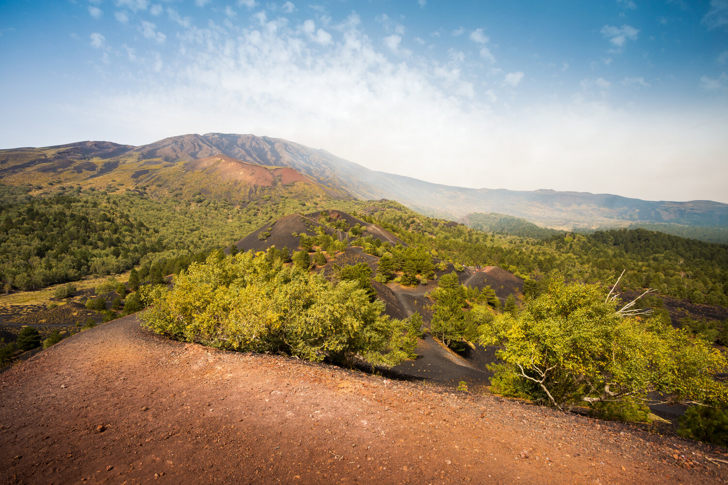 Palazzo Previtera - Living Museum and Luxury Bed and Breakfast - Museo Vivente - Soggiorno in Sicilia Museo Vivente - Linguaglossa CT