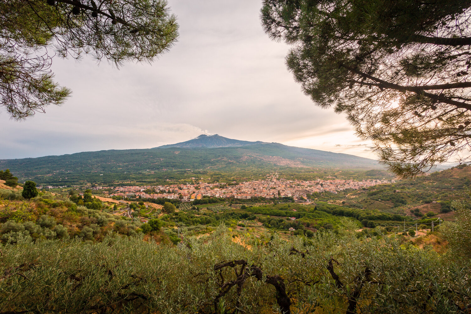 Palazzo Previtera - Living Museum and Luxury Bed and Breakfast - Museo Vivente - Soggiorno in Sicilia Museo Vivente - Linguaglossa CT