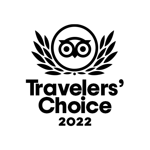 animation_tc_2022