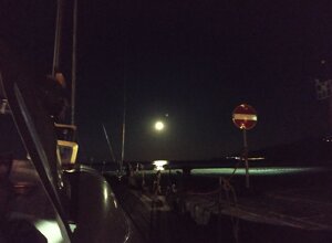 img_3558.jpeg img_3558.jpeg