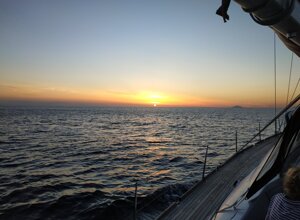 img_3582.jpeg img_3582.jpeg