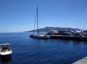 img_3619.jpeg img_3619.jpeg