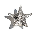 starfish-ring