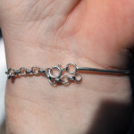 cocker-spaniel-inglese-bracciale