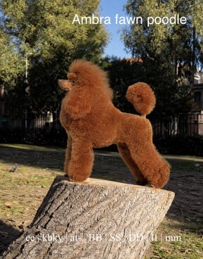 1d7c8a64-3372-4a48-9dfa-9c3a48587d93.jpeg 1d7c8a64-3372-4a48-9dfa-9c3a48587d93.jpeg