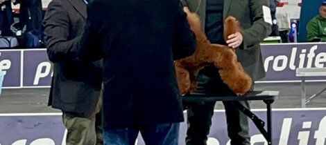 eyJpdCI6IiJ9 eyJpdCI6IiJ9