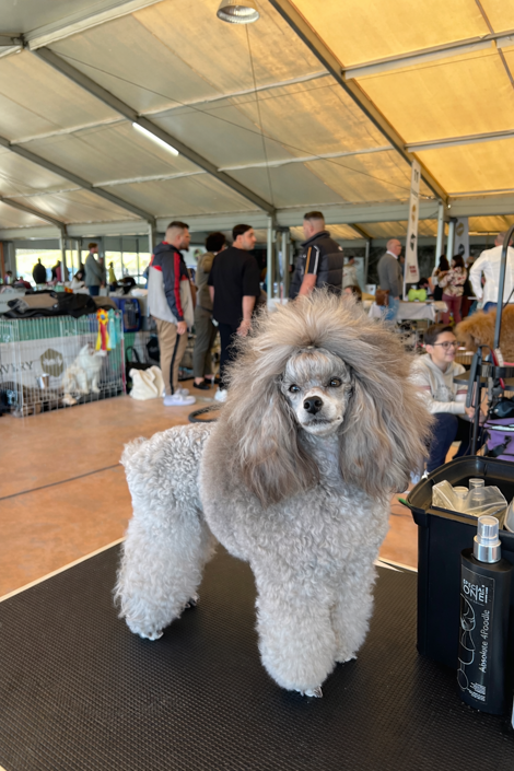 0d207414-9656-4f56-af5a-a22c66598dfb