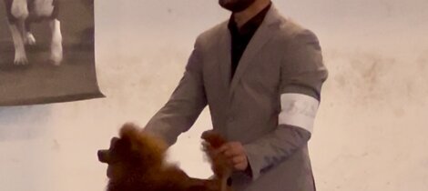 eyJpdCI6ImJhcmJvbmNpbm8gZnVsdm8gaW50ZW5zbyBpbiBwb3NpemlvbmUgZGEgc2hvdyJ9 eyJpdCI6ImJhcmJvbmNpbm8gZnVsdm8gaW50ZW5zbyBpbiBwb3NpemlvbmUgZGEgc2hvdyJ9