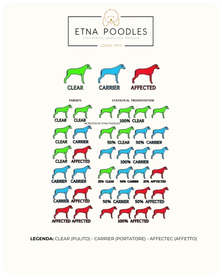 schema di accoppiamento malattie carrier portatore affetto e clear schema di accoppiamento malattie carrier portatore affetto e clear