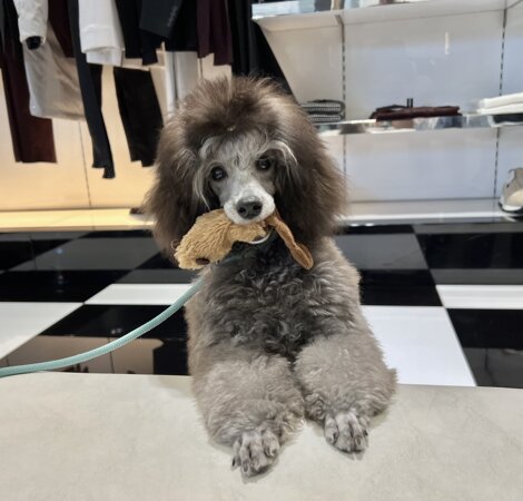 img_1870.jpeg img_1870.jpeg