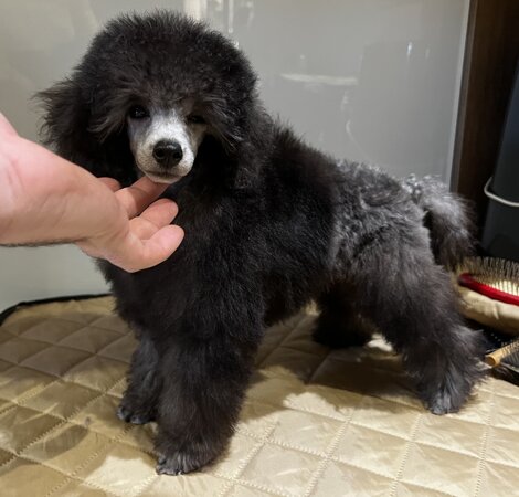 img_0640.jpeg img_0640.jpeg