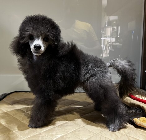 img_0631.jpeg img_0631.jpeg