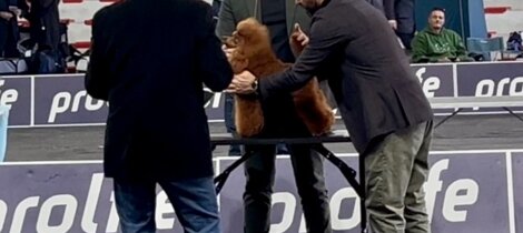 eyJpdCI6IiJ9 eyJpdCI6IiJ9