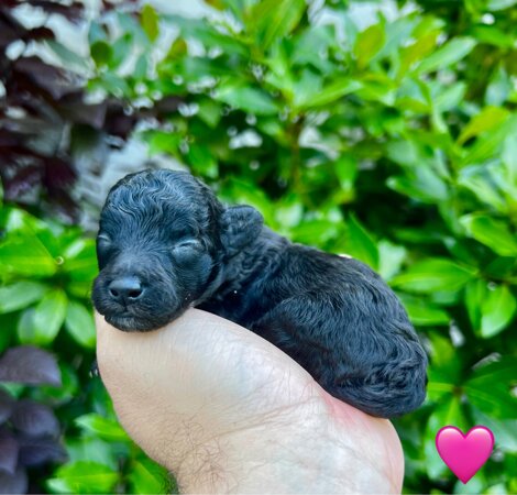 img_2319.jpeg img_2319.jpeg