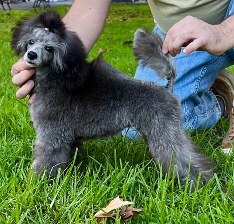 img_1863.jpeg img_1863.jpeg