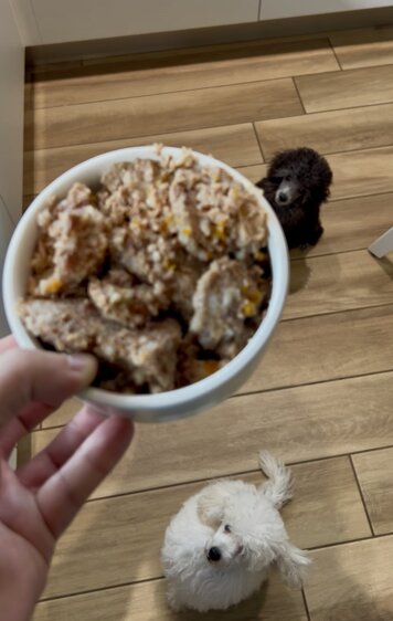 img_2710.jpeg img_2710.jpeg