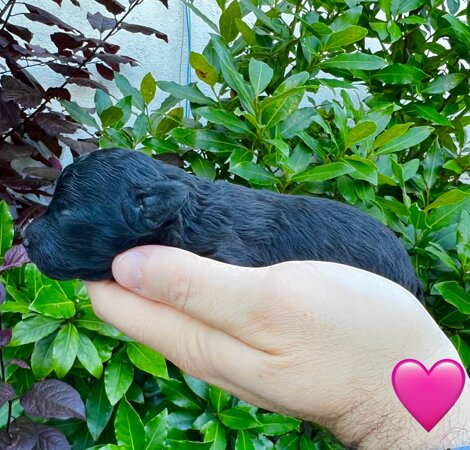 img_8973.jpeg img_8973.jpeg