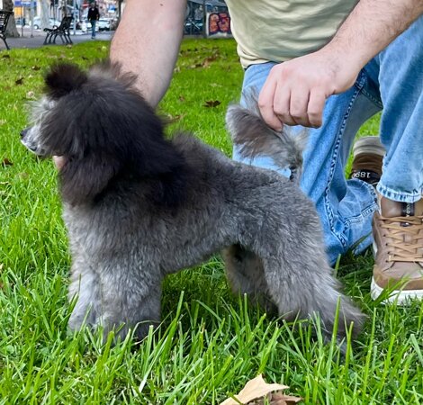 img_0651.jpeg img_0651.jpeg