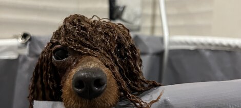 eyJpdCI6ImJhcmJvbmNpbm8gZnVsdm8gZHVyYW50ZSBpbCBiYWdubyJ9 eyJpdCI6ImJhcmJvbmNpbm8gZnVsdm8gZHVyYW50ZSBpbCBiYWdubyJ9