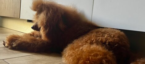 eyJpdCI6IkJhcmJvbmUgdG95IHJlZCBpbiBwb3NhIn0= eyJpdCI6IkJhcmJvbmUgdG95IHJlZCBpbiBwb3NhIn0=