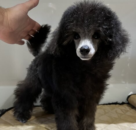 img_0646.jpeg img_0646.jpeg