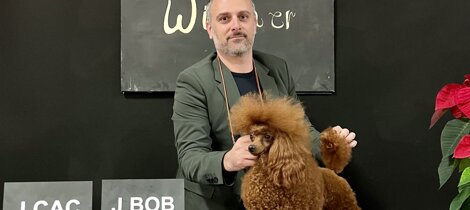 eyJpdCI6ImJhcmJvbmNpbm8gZnVsdm8gaW50ZW5zbyBpbiBwb3NpemlvbmUgZGEgc2hvdyJ9 eyJpdCI6ImJhcmJvbmNpbm8gZnVsdm8gaW50ZW5zbyBpbiBwb3NpemlvbmUgZGEgc2hvdyJ9