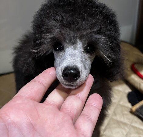 img_0642.jpeg img_0642.jpeg