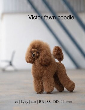 79521a3b-2bab-449f-9fec-9fd0eb7993e6.jpeg 79521a3b-2bab-449f-9fec-9fd0eb7993e6.jpeg