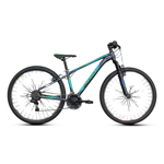 myland-reaction-24-bici-mtb-18v-v-brake-acciaio