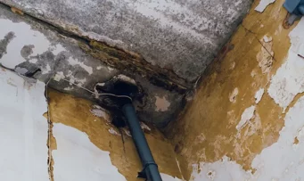 j_107904-isn5000-123rfcom-m-107904_1