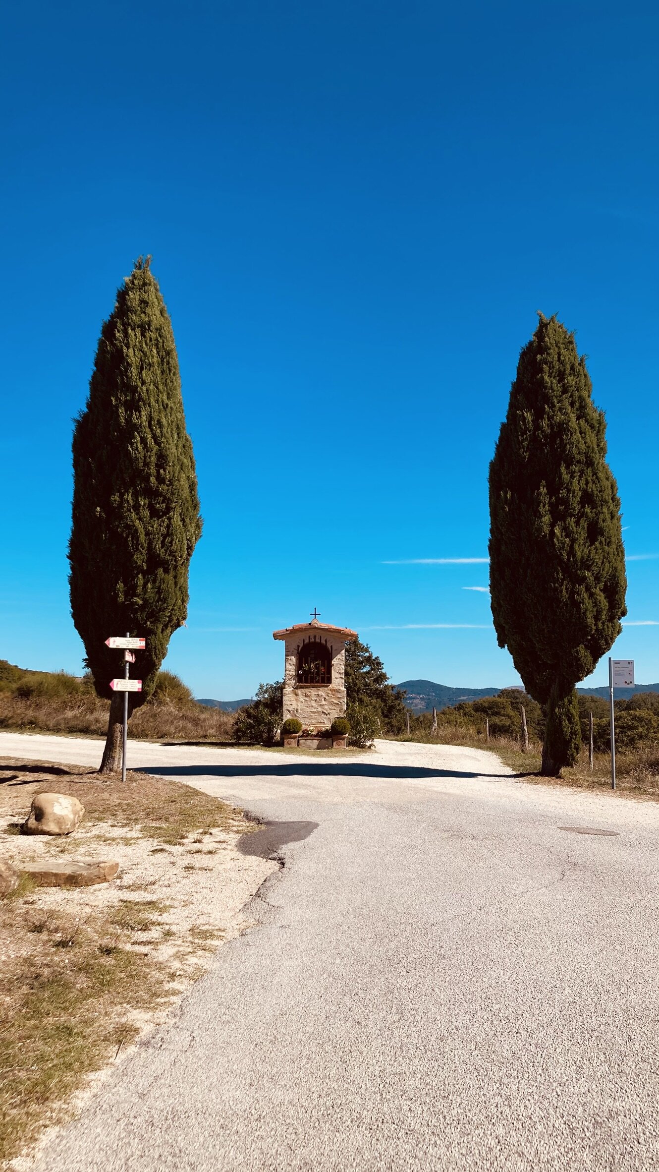 Mantignana: pedalare per allungare lo sguardo Mantignana: pedalare per allungare lo sguardo