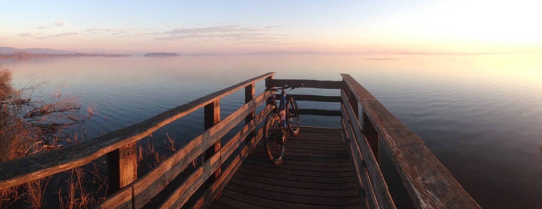 La campagna romana, un filare di pini mediterranei a bordo strada, e una lunga fila di ciclisti che percorre la strada consolare alle prime luci del giorno