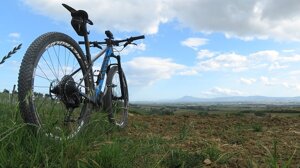 cortonabike1fieldofgold cortonabike1fieldofgold
