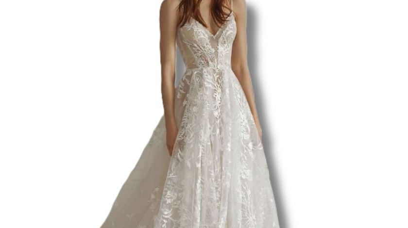 f_w%202026%20startex-25