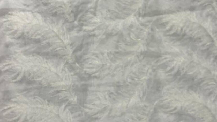 f_w%202026%20startex-59