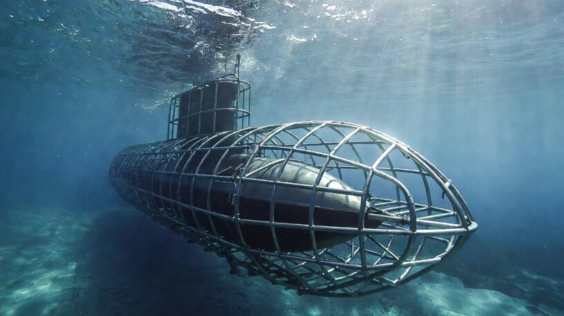 schelet1.jpeg schelet1.jpeg