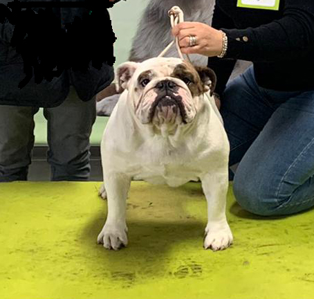 img-20191124-wa0201-copia