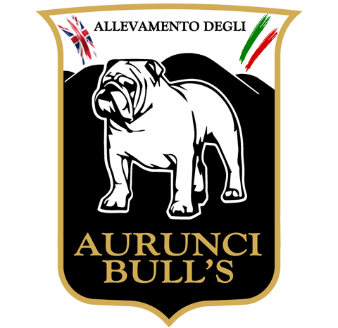 logodefinitivoengita