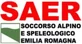 logo_saer_30041