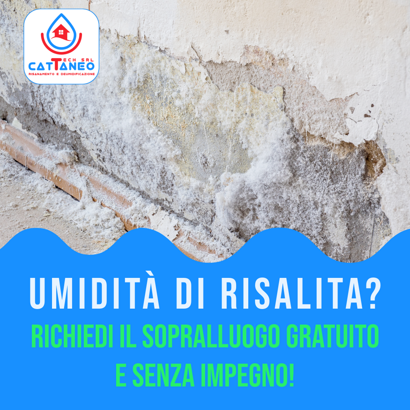 insta luglio 2024 insta luglio 2024