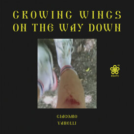 growingwingsonthewaydown_cover.jpeg