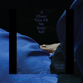 closer view_vanelli_all artwork.jpeg