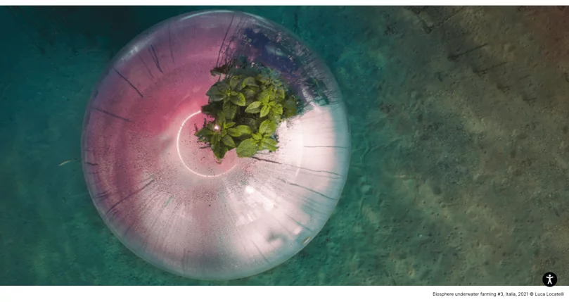 luca-locatelli