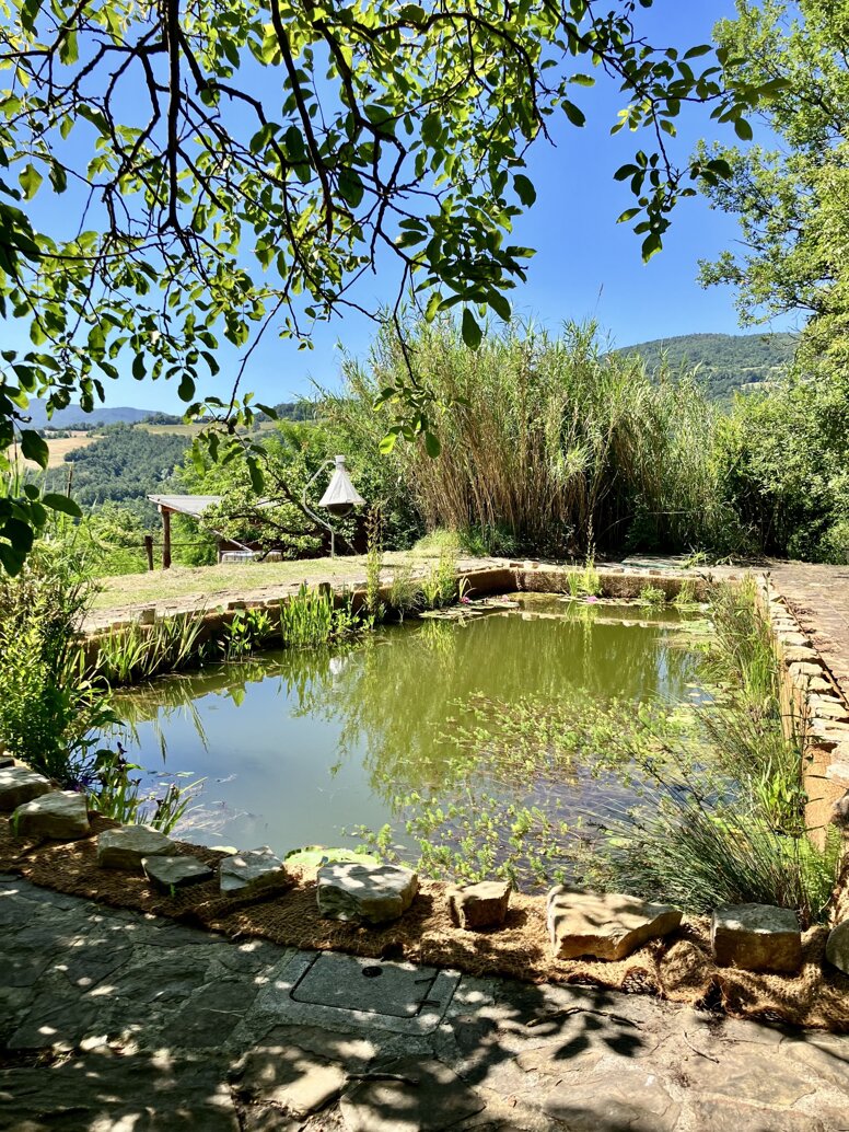 Il Giardino degli Alberi Maestri