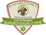 award-superdogwelcome-shield-400-verde
