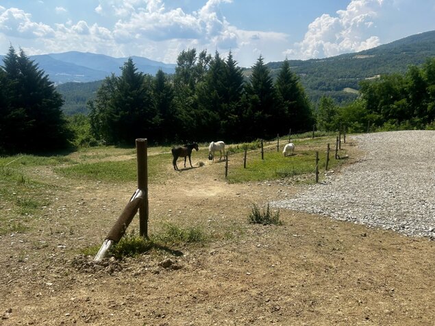 img_0760.jpeg img_0760.jpeg