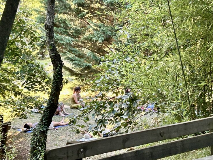 Il Giardino degli Alberi Maestri Il Giardino degli Alberi Maestri