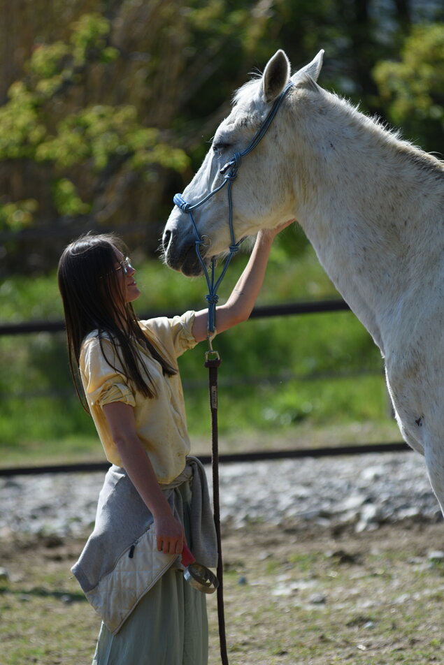 dsc_2440.jpeg