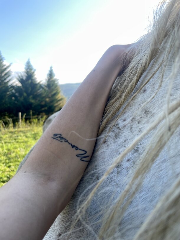 Il Giardino degli Alberi Maestri - cavalli Il Giardino degli Alberi Maestri - cavalli