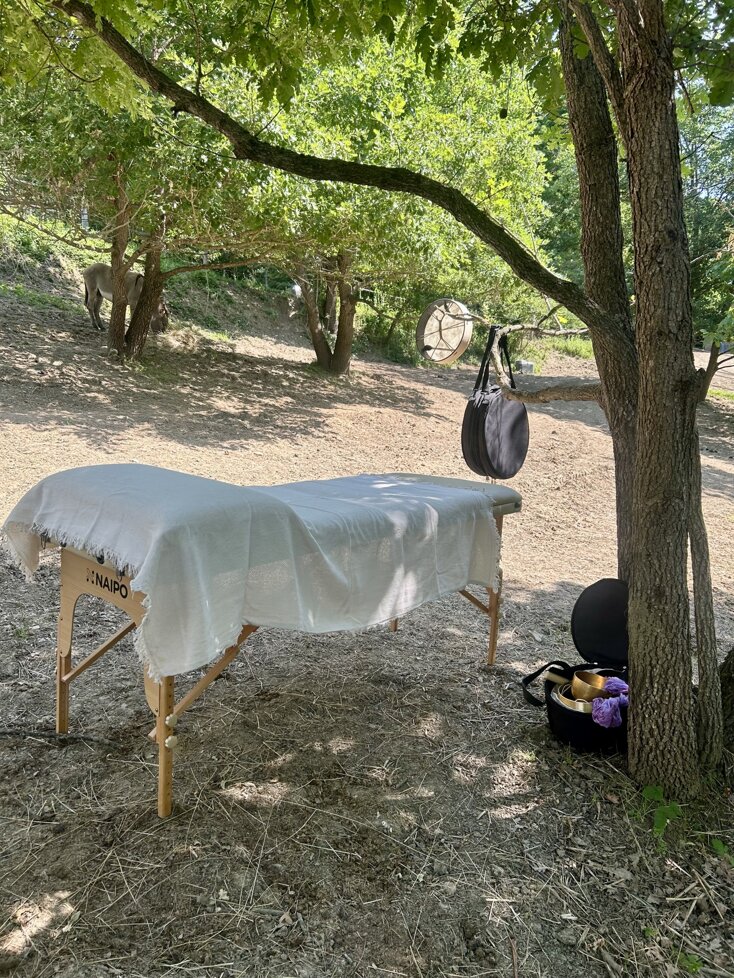 Il Giardino degli Alberi Maestri Il Giardino degli Alberi Maestri